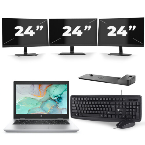 HP ProBook 645 G4 - AMD Ryzen 5 2500U - 14 inch - 8GB RAM - 240GB SSD - Windows 10 + 3x 24 inch Monitor